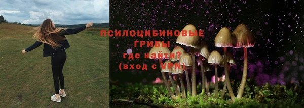 ALPHA-PVP Абинск