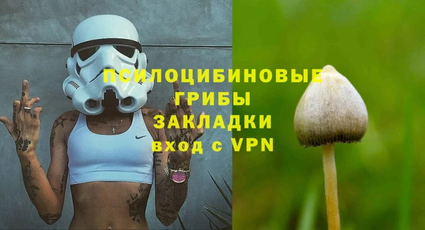 соль ск Гусев